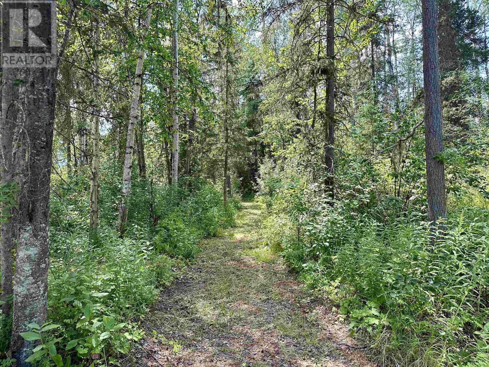 12287 Alder Road, Smithers, British Columbia  V0J 2N1 - Photo 15 - R2994744