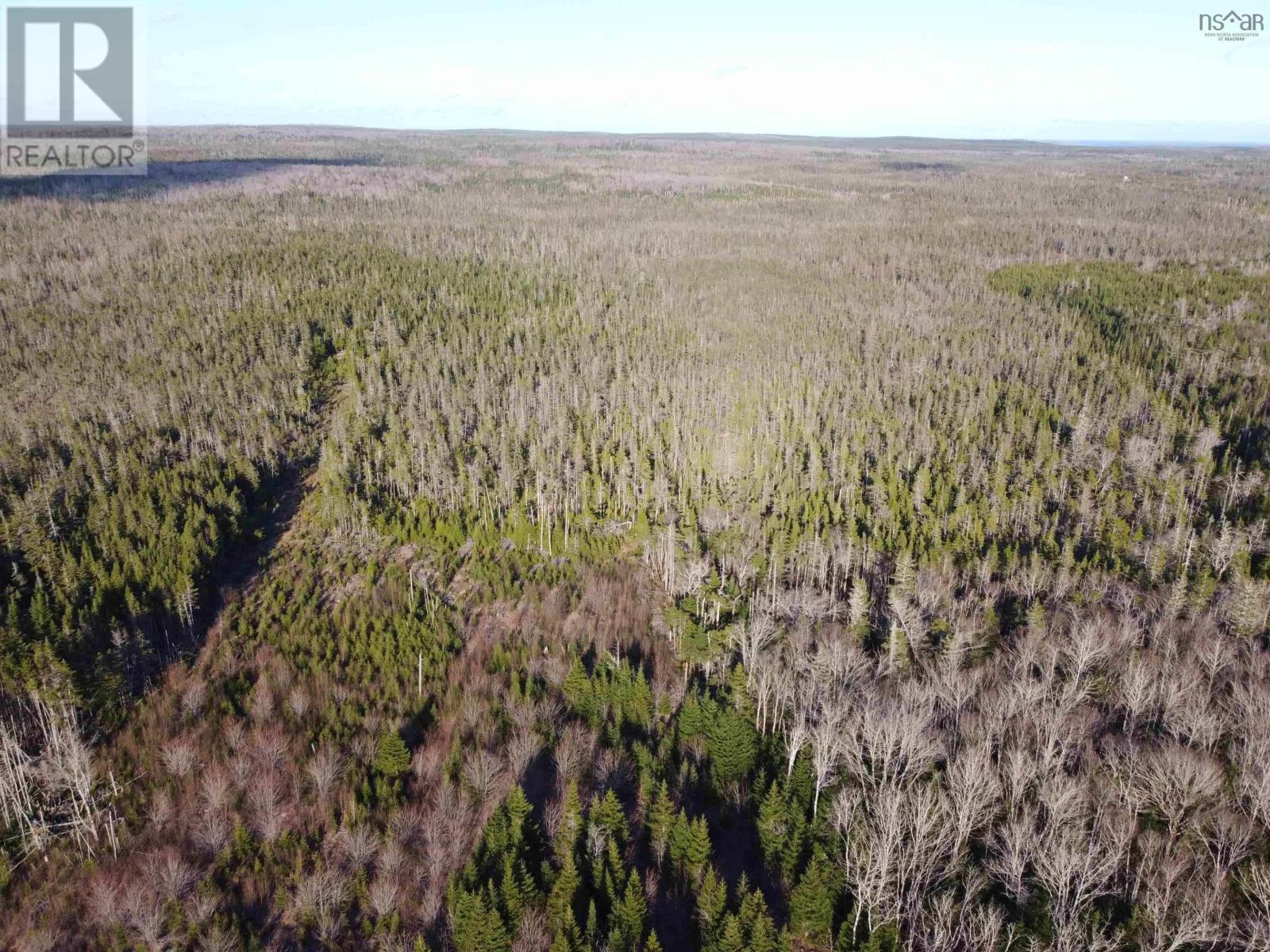 Lot 22 & 23 Trafalgar Rd Highway 374, Sheet Harbour, Nova Scotia  B0J 3B0 - Photo 4 - 202509114