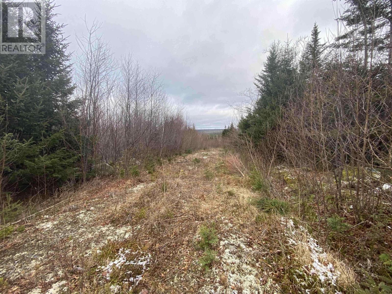 Lot 22 & 23 Trafalgar Rd Highway 374, Sheet Harbour, Nova Scotia  B0J 3B0 - Photo 9 - 202509114