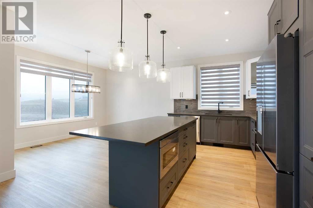 154 Speargrass Crescent, Carseland, Alberta  T0J 0M0 - Photo 4 - A2193022
