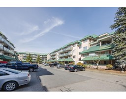 206 2962 TRETHEWEY STREET, Abbotsford property photo listing R2990896 for sale