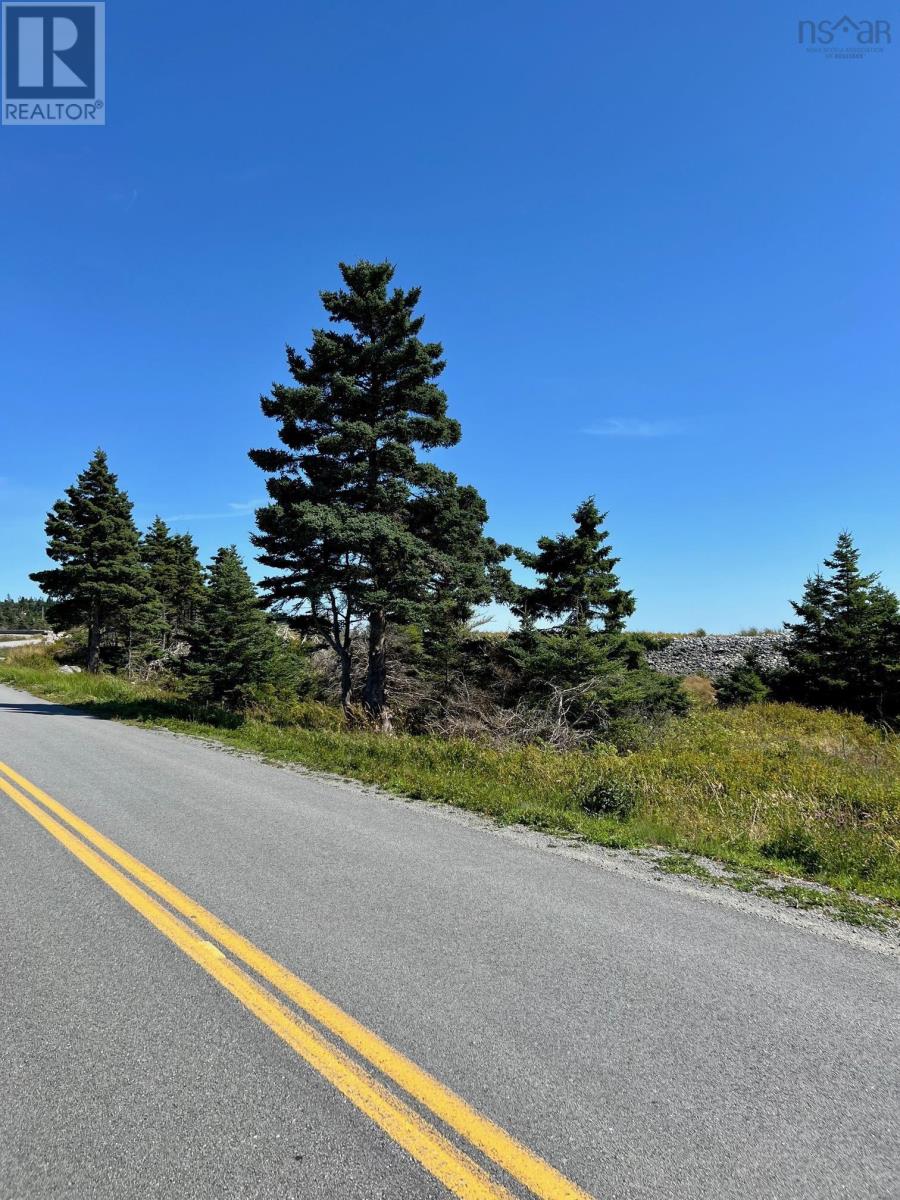 Lot (Pid 70044946) Shore Road, Western Head, Nova Scotia  B0T 1K0 - Photo 13 - 202424055