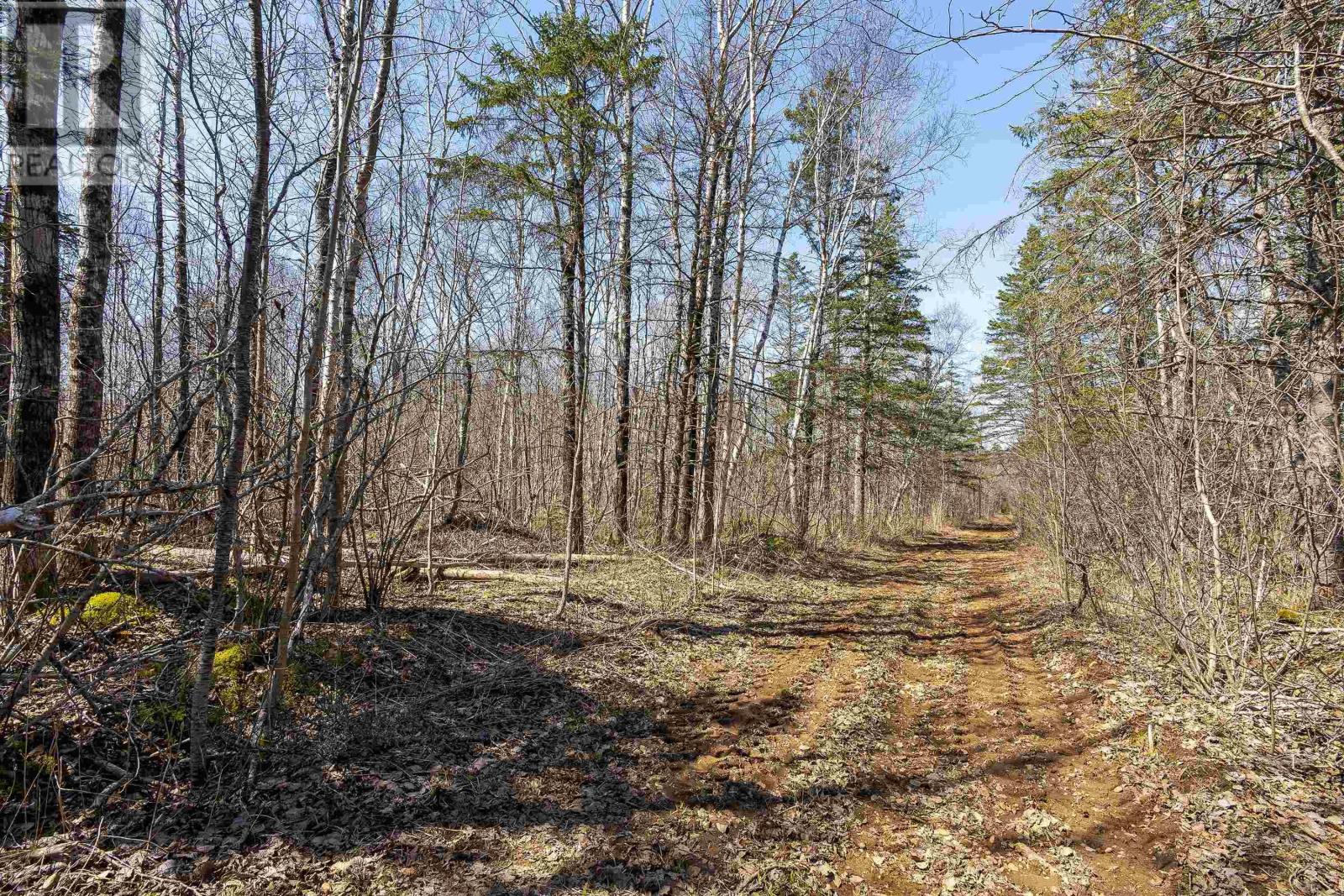 Lot 2 Seaman Street, East Margaretsville, Nova Scotia  B0S 1N0 - Photo 4 - 202509138