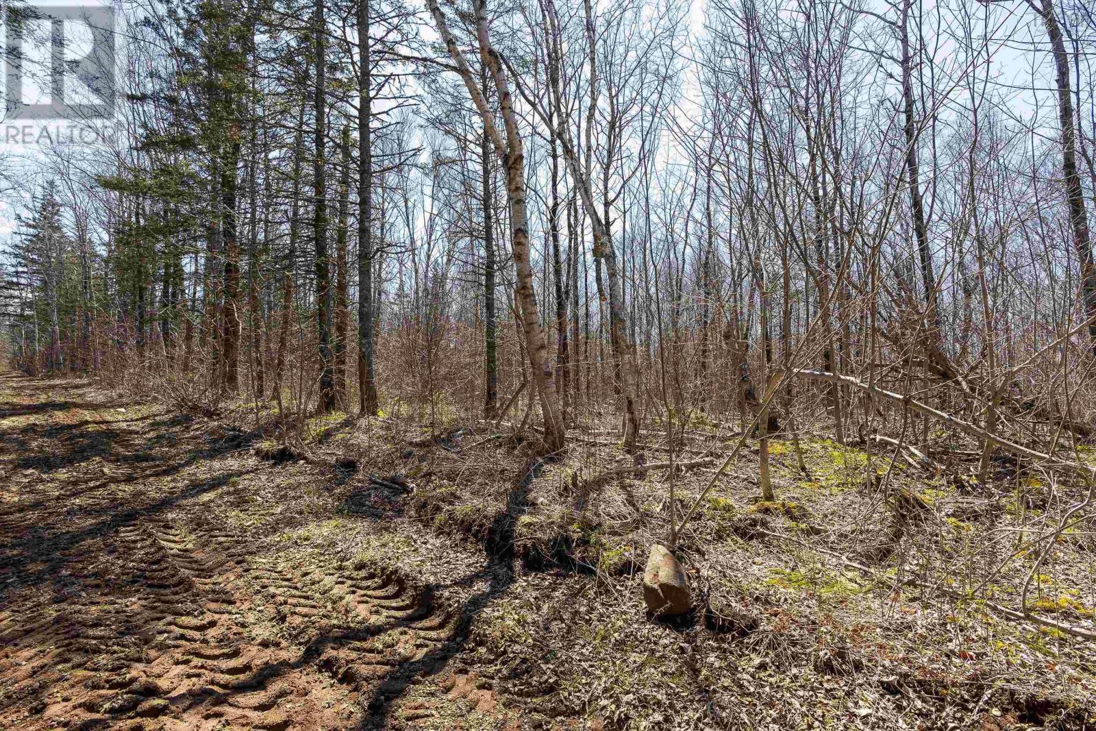 Lot 2 Seaman Street, East Margaretsville, Nova Scotia  B0S 1N0 - Photo 2 - 202509138