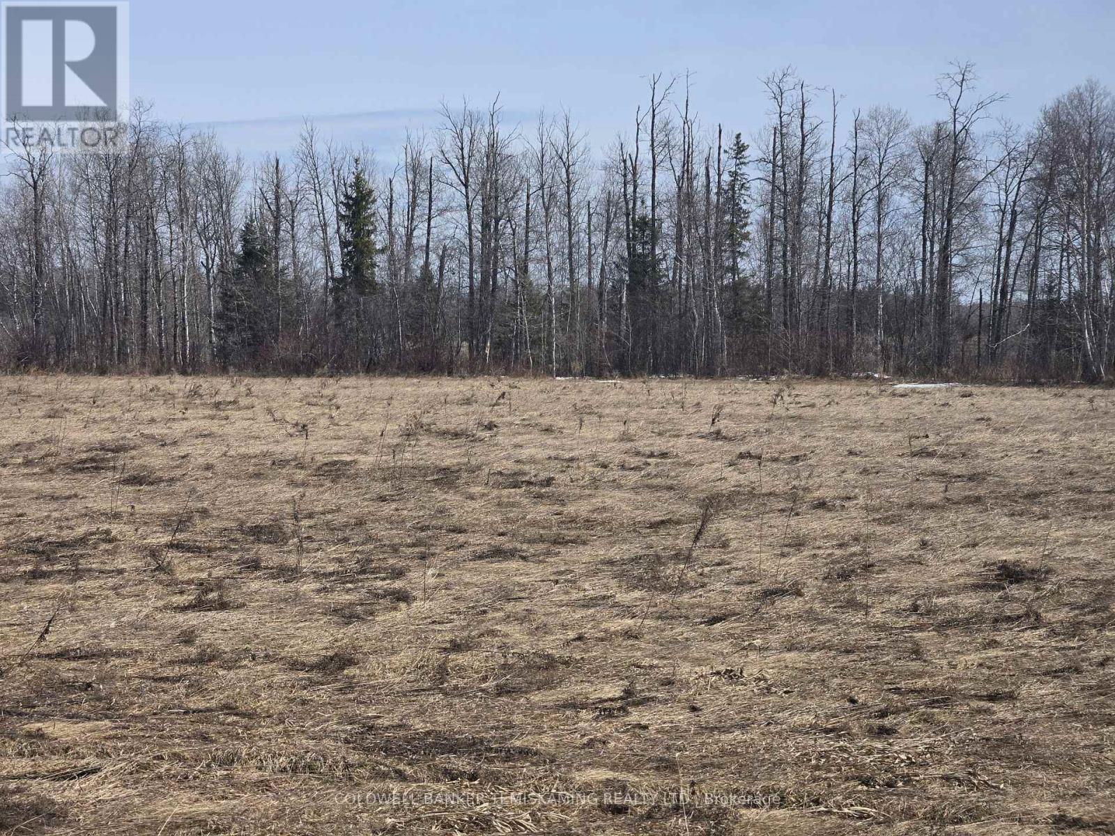 Lot 2 Rosedale Avenue, Timiskaming, Ontario  P0J 1G0 - Photo 7 - T12073789