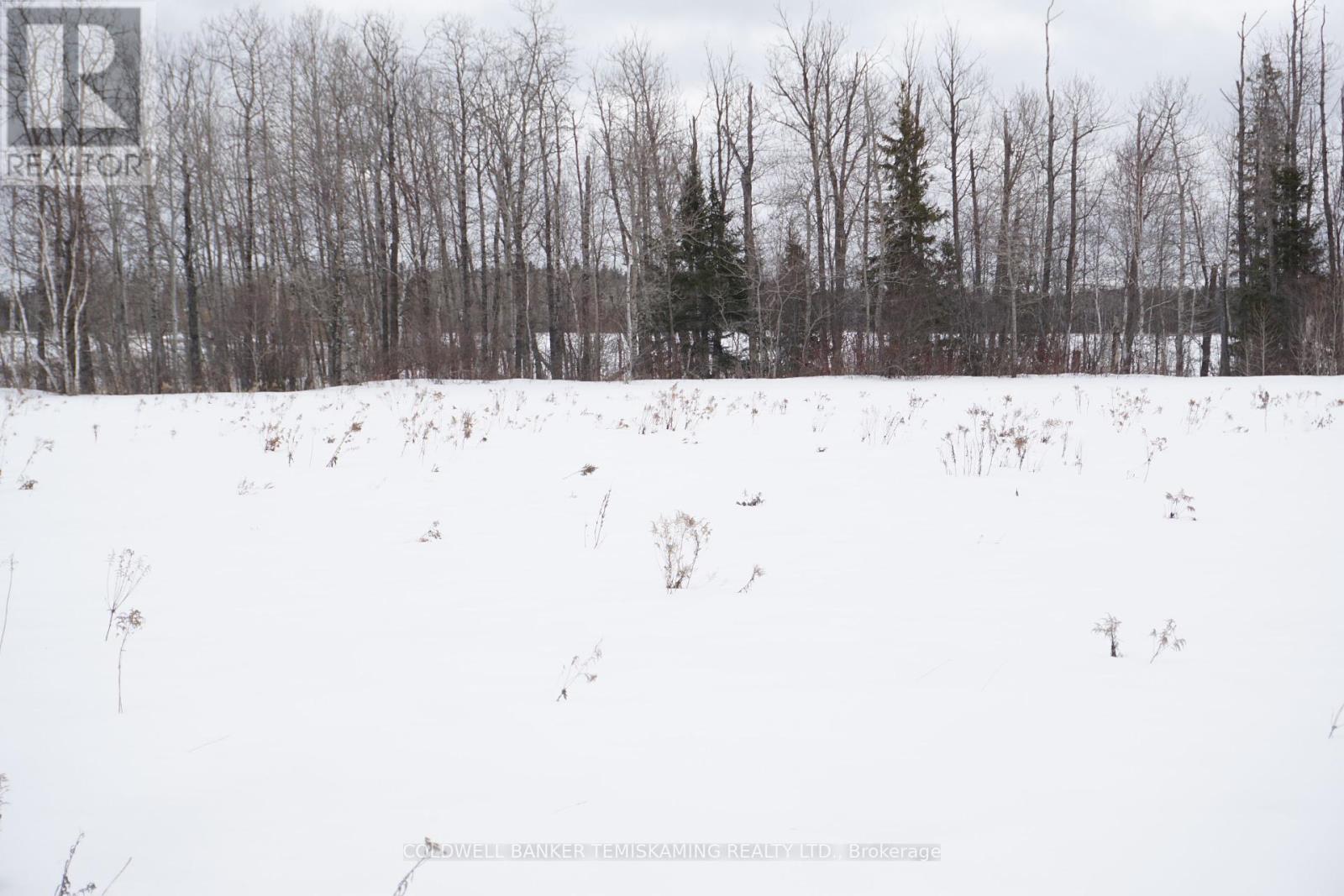 Lot 2 Rosedale Avenue, Timiskaming, Ontario  P0J 1G0 - Photo 9 - T12073789