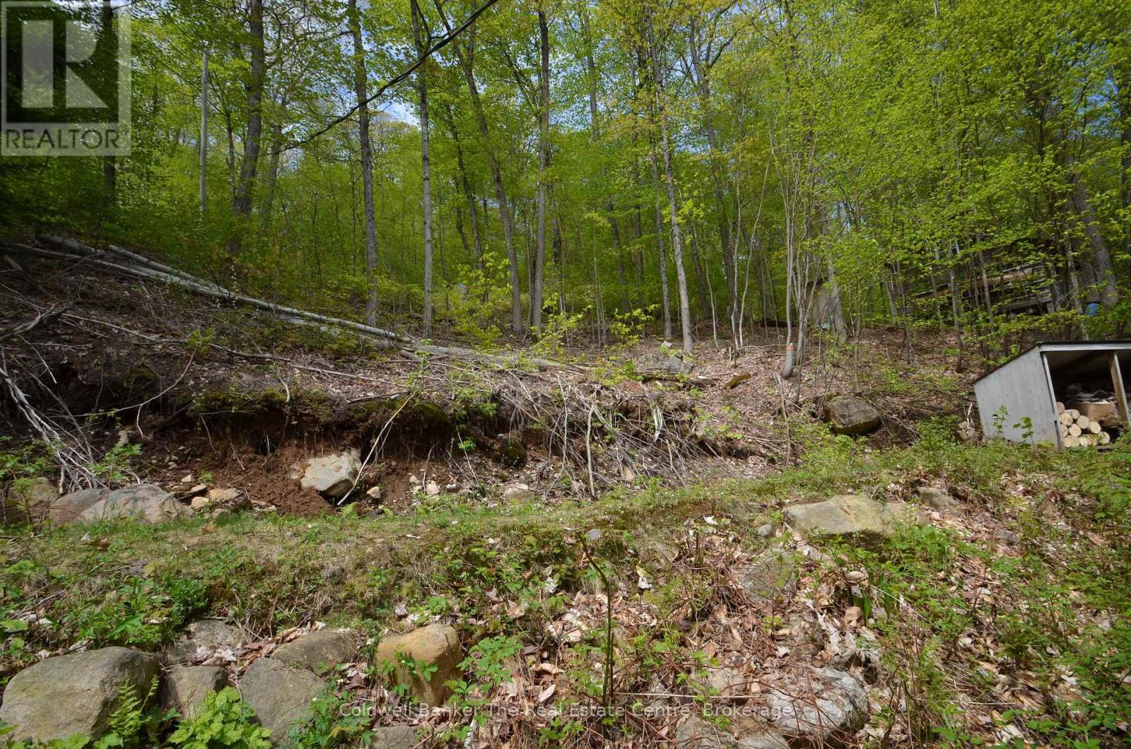 10835 Raven - West Shore Way, Algonquin Highlands, Ontario  P0A 1E0 - Photo 33 - X12109673