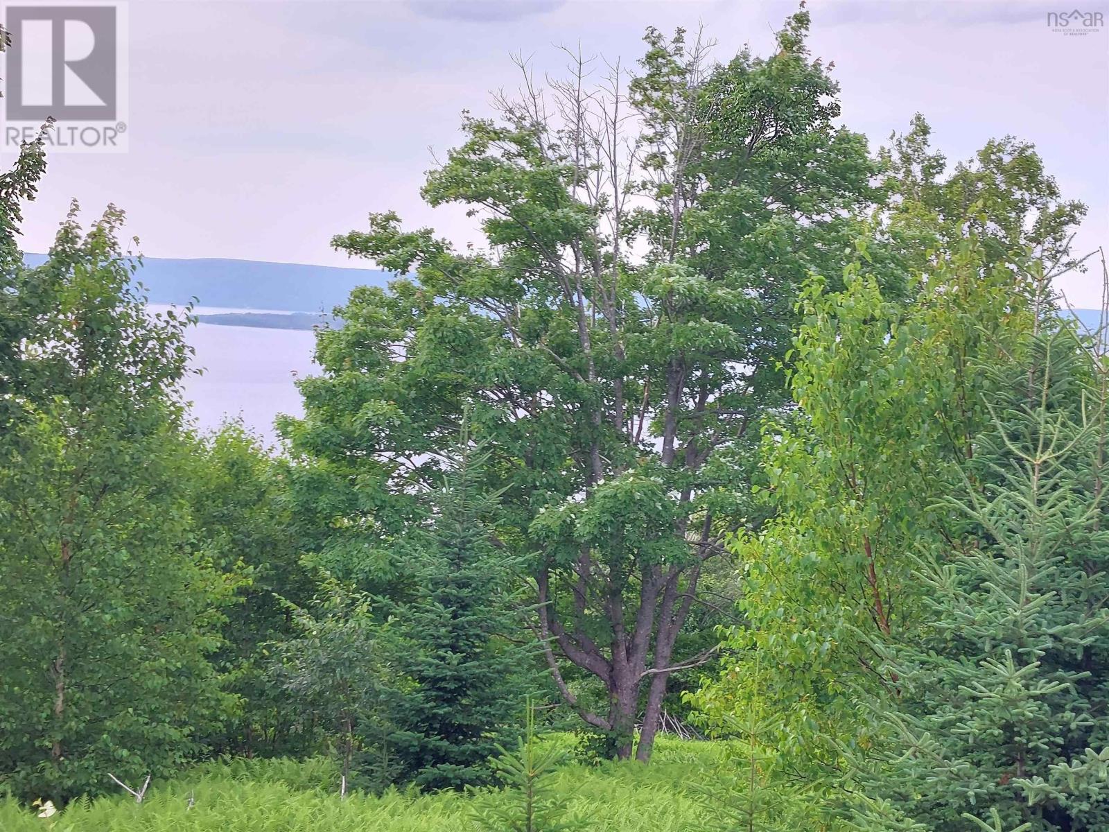 Parcel A Rosemary Dr., St George's Channel, Nova Scotia  B0E 3K0 - Photo 12 - 202509160