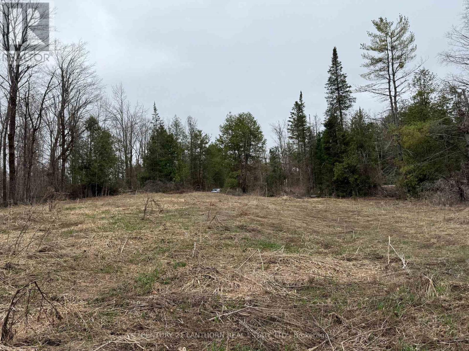 885 Cleveland Road, Tudor And Cashel, Ontario  K0K 1Y0 - Photo 7 - X12110014