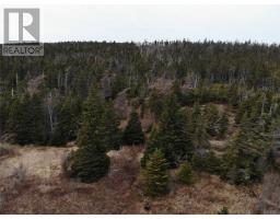 76 - 84 Conception Bay Highway, Holyrood, Newfoundland & Labrador