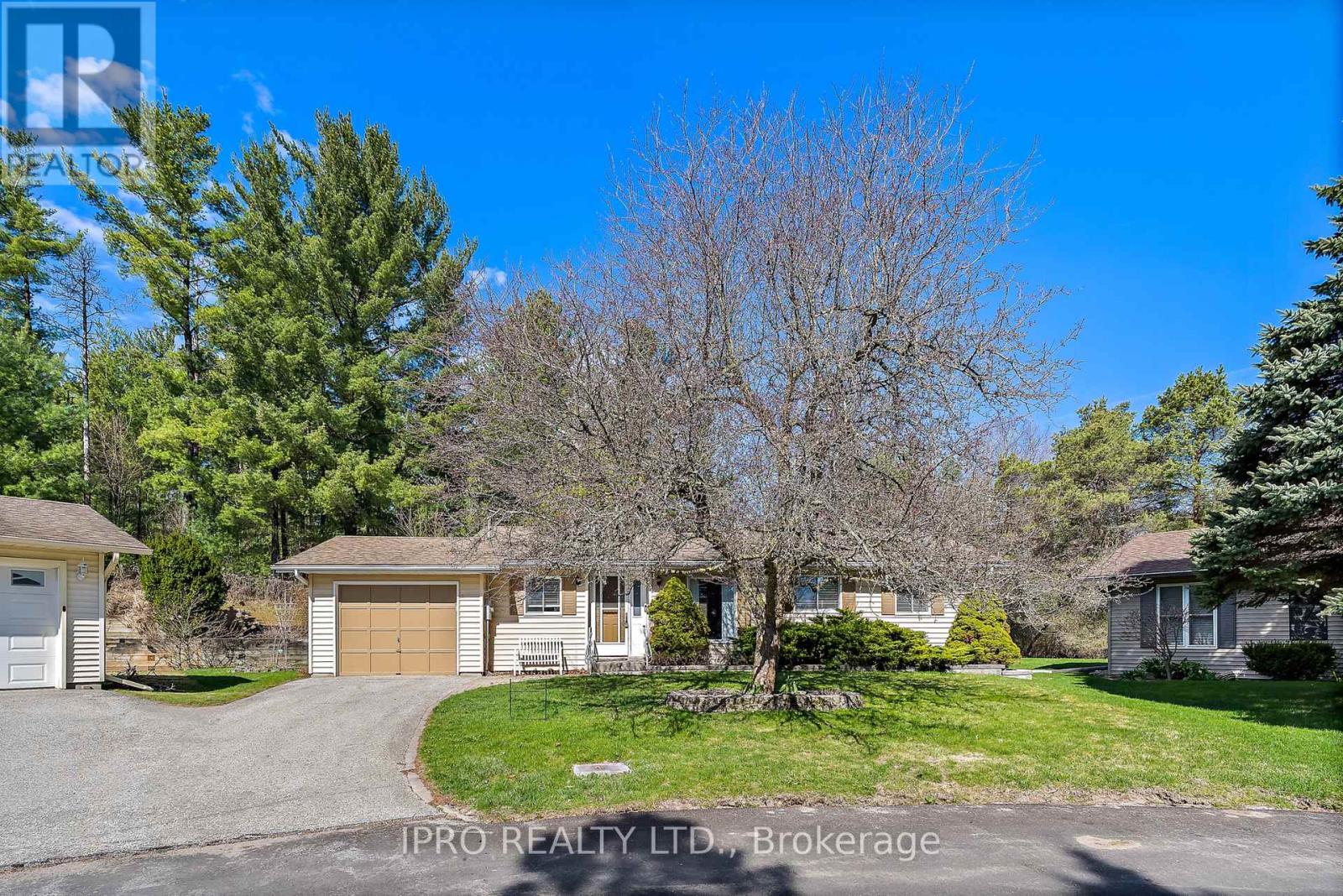 Property at 9 BALSAM COURT image 1