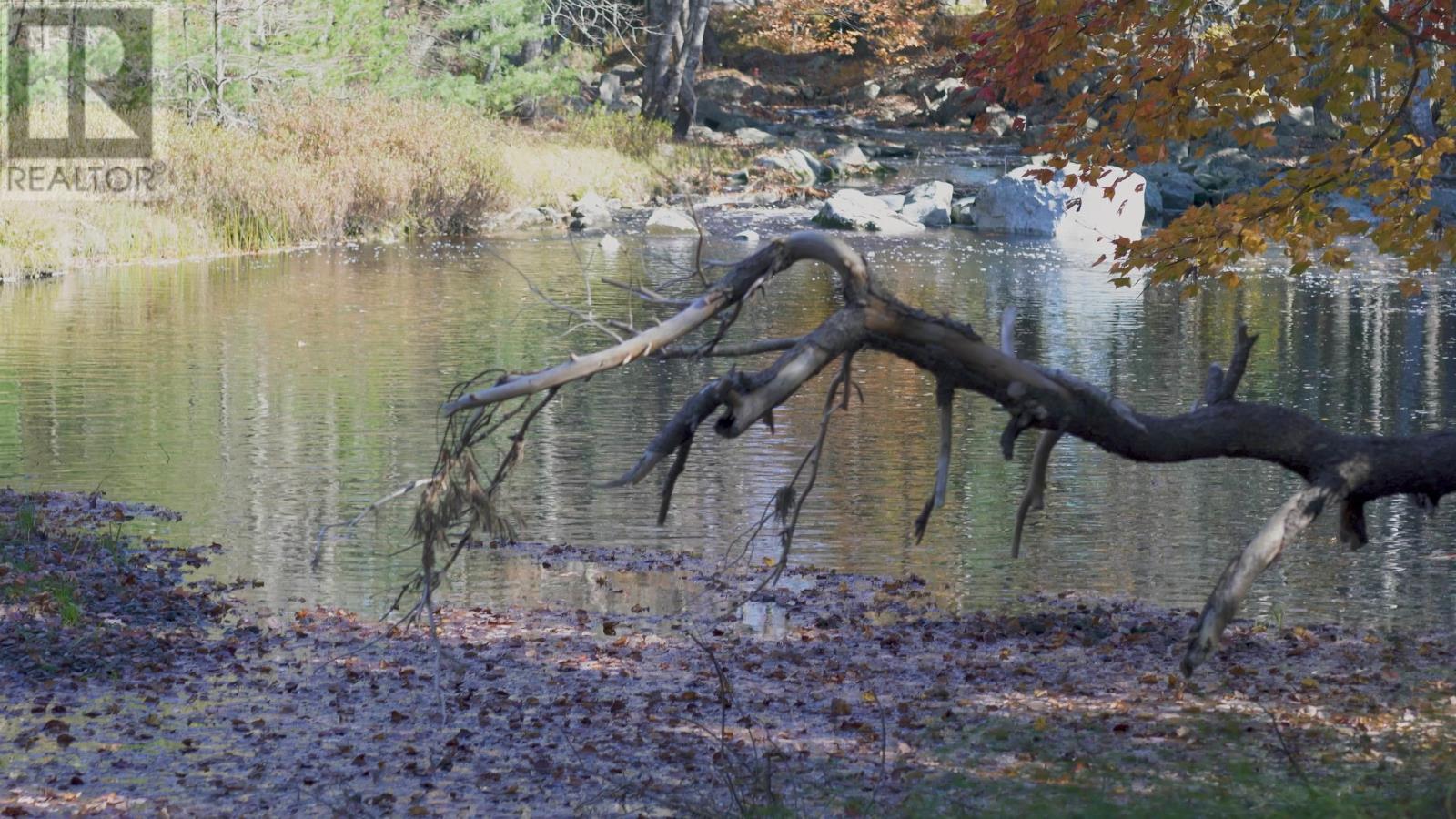 Lorem Ipsum Dolor Si, Lower Ohio, Nova Scotia  B0T  - Photo 24 - DEMO28204074