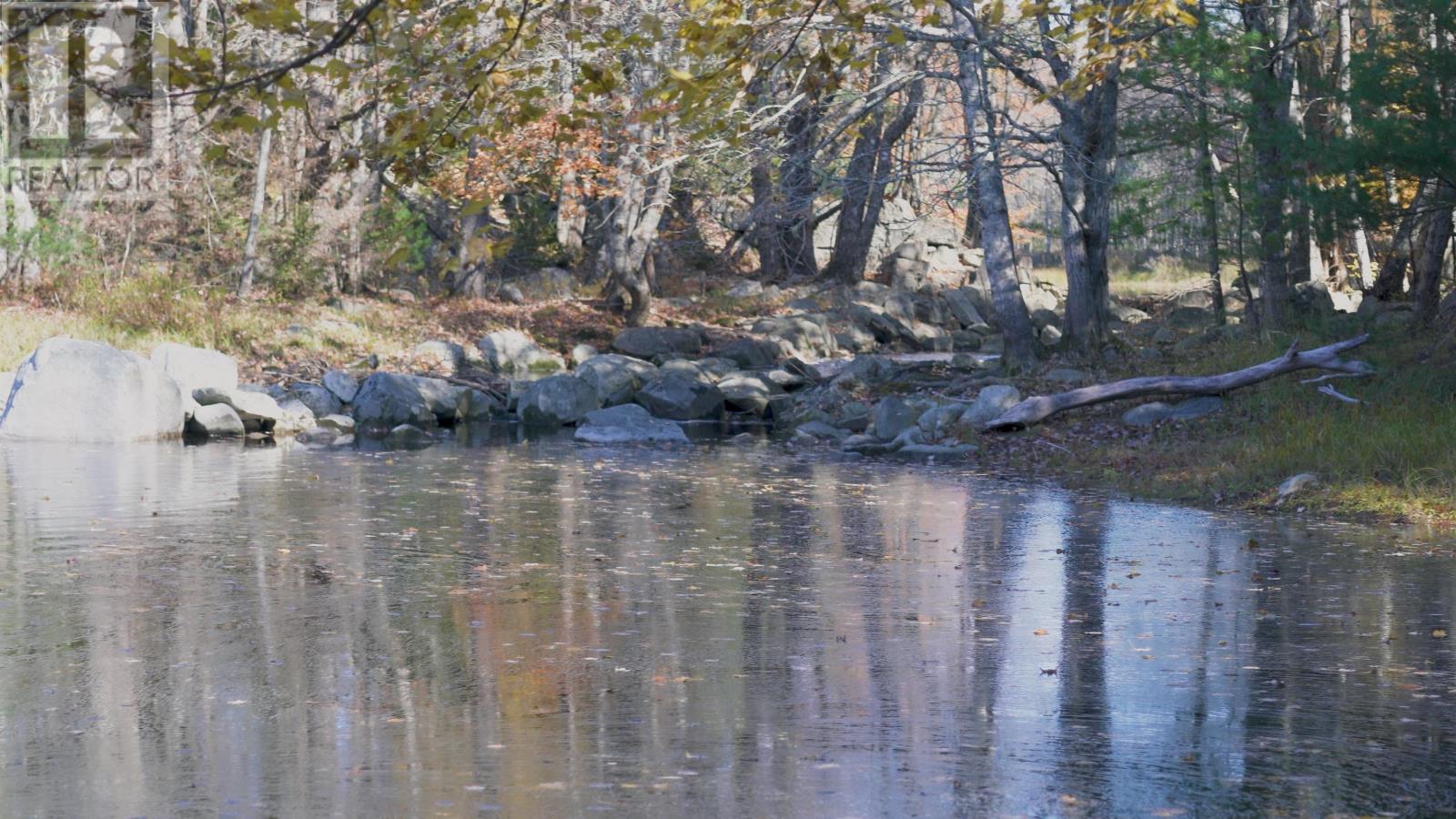 Lorem Ipsum Dolor Si, Lower Ohio, Nova Scotia  B0T  - Photo 23 - DEMO28204074