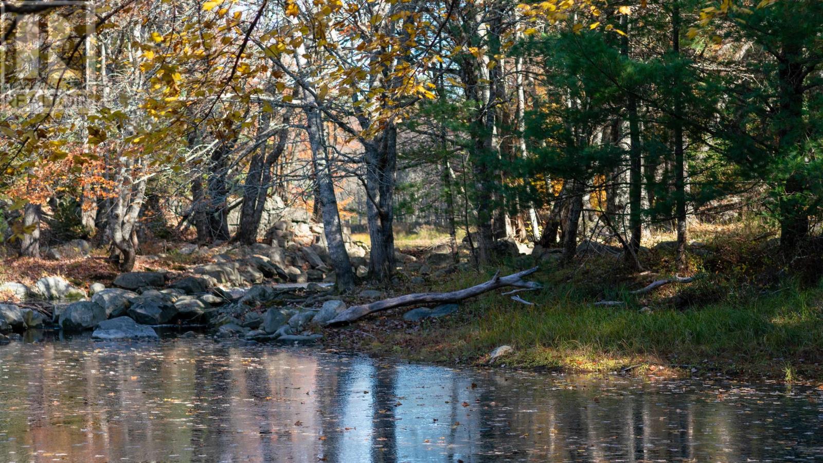 Lorem Ipsum Dolor Si, Lower Ohio, Nova Scotia  B0T  - Photo 13 - DEMO28204074