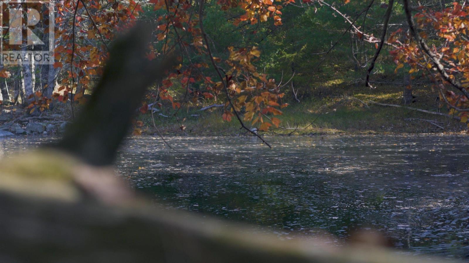 Lorem Ipsum Dolor Si, Lower Ohio, Nova Scotia  B0T  - Photo 28 - DEMO28204074