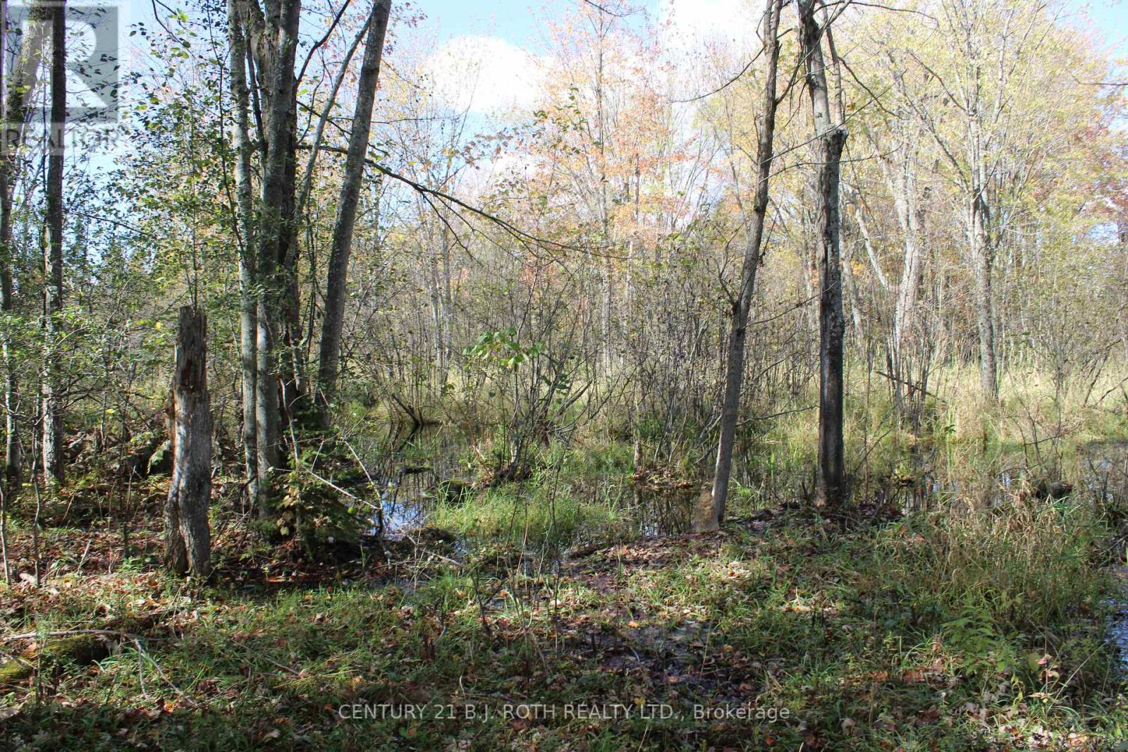 388 Woodland Drive, Oro-Medonte, Ontario  L3V 0R8 - Photo 14 - S12106720