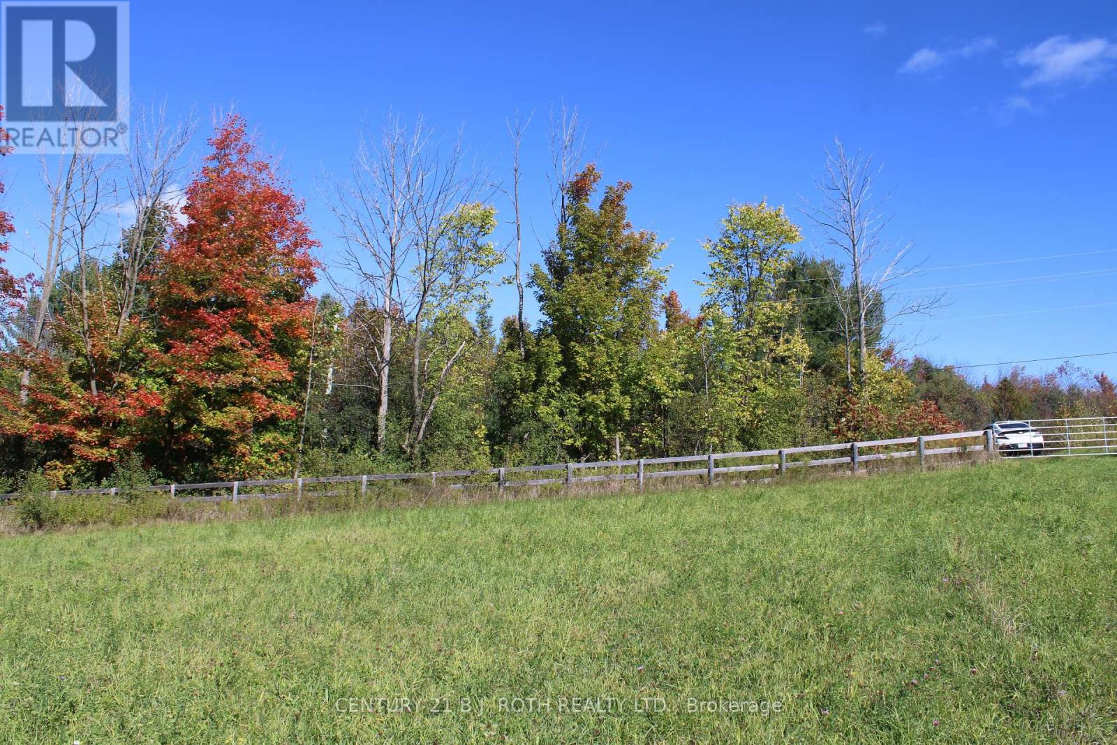 388 Woodland Drive, Oro-Medonte, Ontario  L3V 0R8 - Photo 9 - S12106720