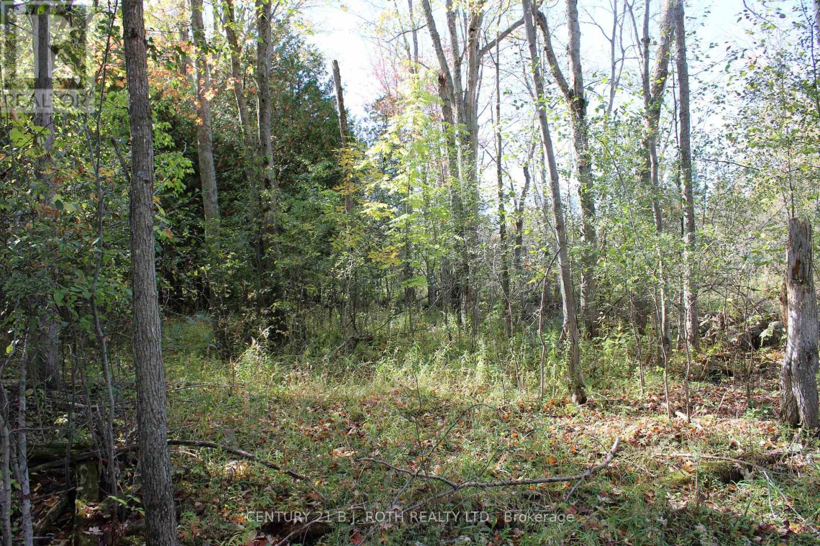 388 Woodland Drive, Oro-Medonte, Ontario  L3V 0R8 - Photo 15 - S12106720