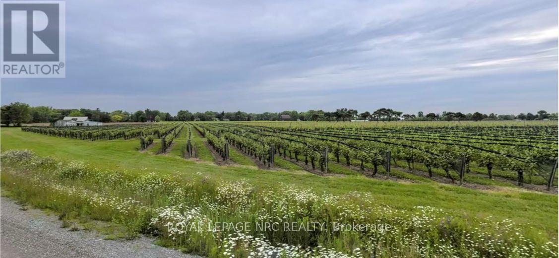 1617-1679 North Service Road, St. Catharines (Rural Port), Ontario  L2R 6P9 - Photo 3 - X12110278