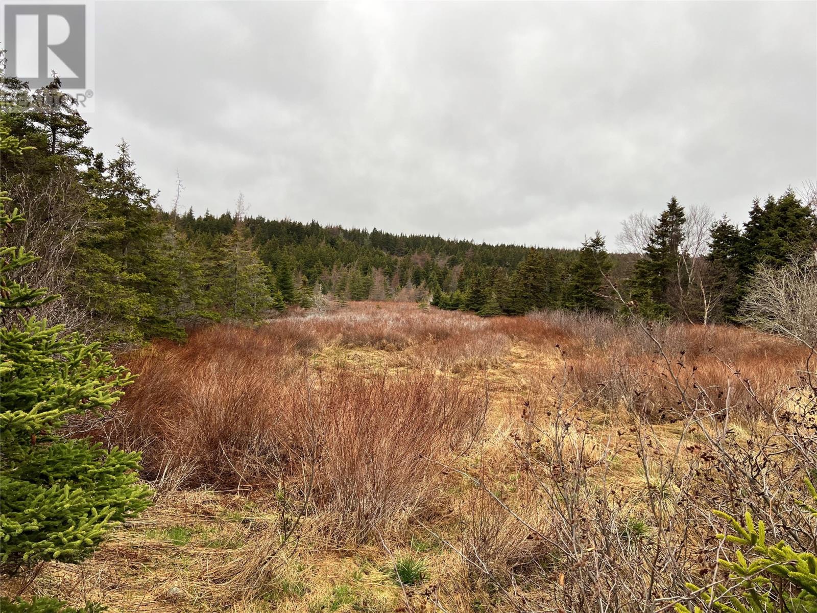 85 - 91 Seaforest Drive, Cupids, Newfoundland & Labrador  A0A 2B0 - Photo 7 - 1284324