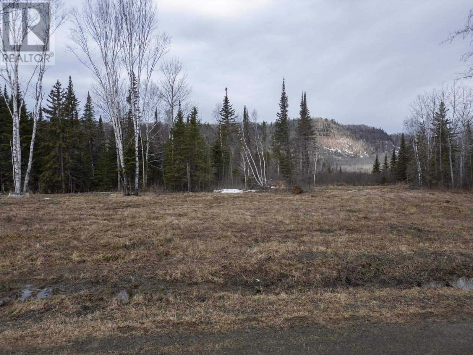Property at 0 Milne RD image 4