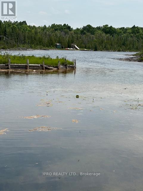 736074 West Back Line, Chatsworth, Ontario  N0C 1H0 - Photo 23 - X12093518