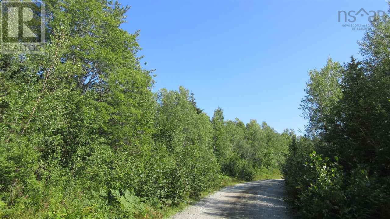 Highway 101, Plympton, Nova Scotia  B0W 3T0 - Photo 26 - 202509178