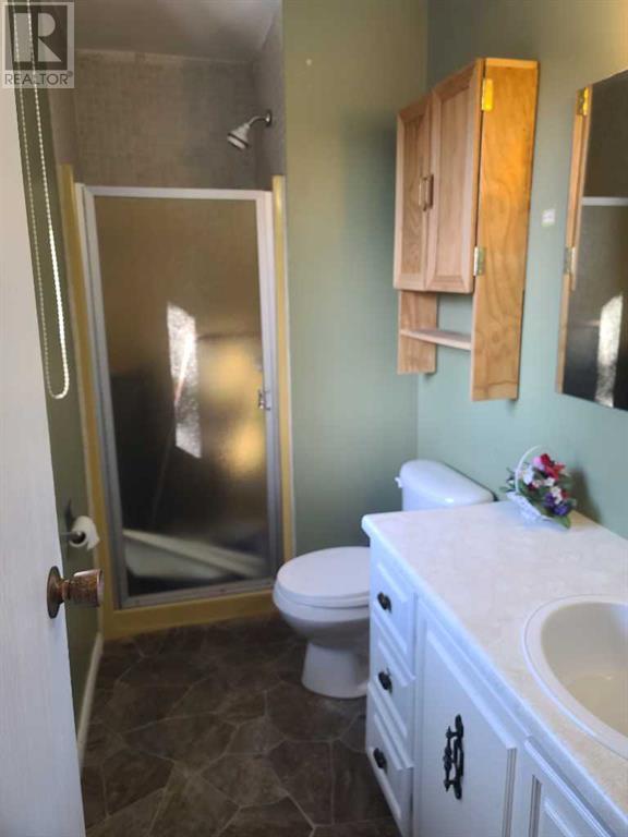 9709 73 Avenue, Peace River, Alberta  T8S 1E2 - Photo 7 - A2196929