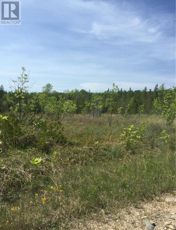 Pt Lt 33 Clover Valley Road E, Manitowaning, Ontario  P0P 1N0 - Photo 17 - 2121382