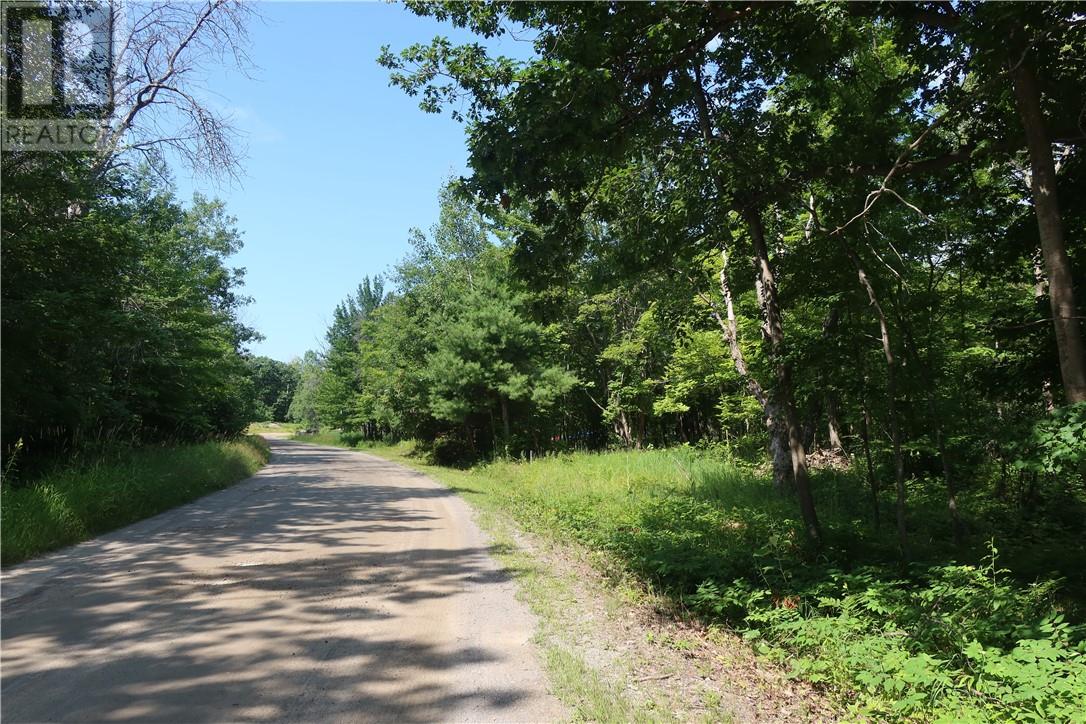 272 Perry Ave, Killarney, Ontario  P0M 2A0 - Photo 15 - 2121914