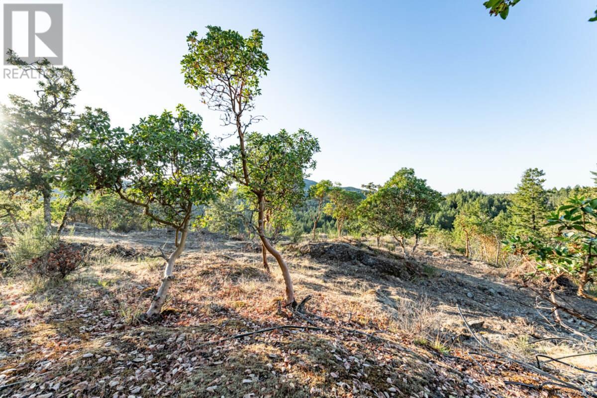 3020 Westridge Pl, Highlands, British Columbia  V9C 1C8 - Photo 5 - 995035