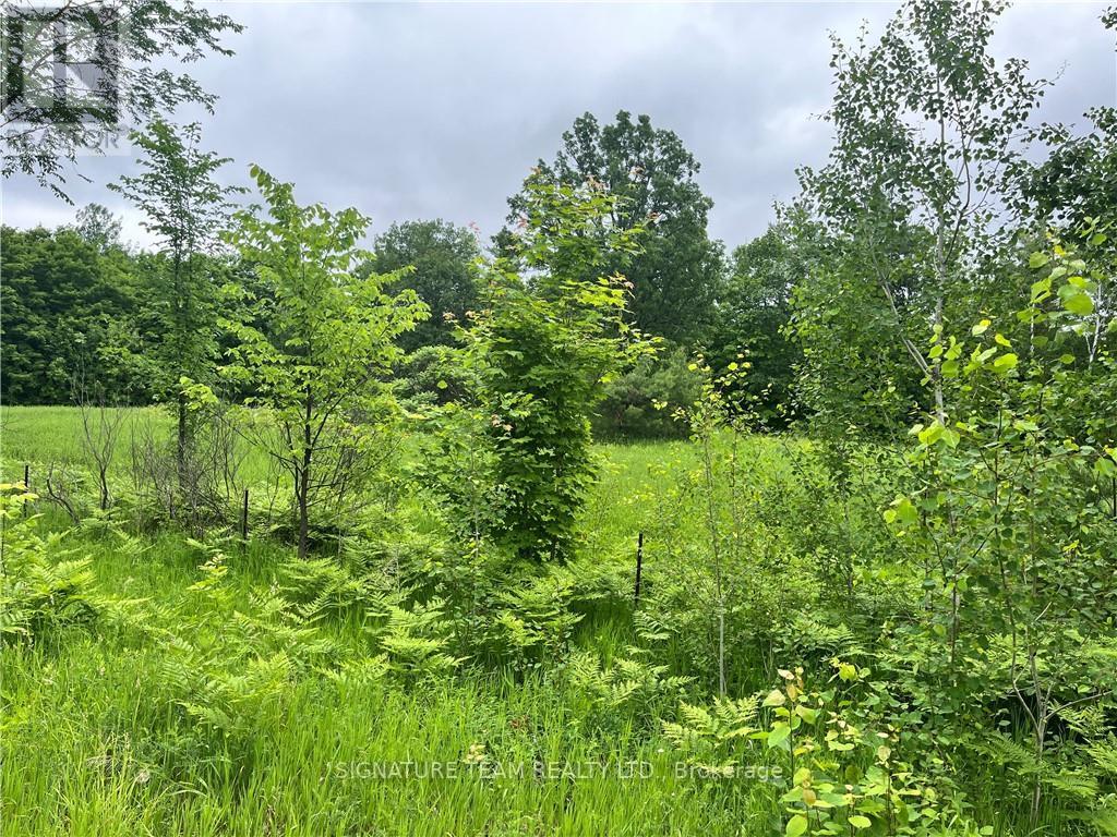 LOT 1 GRANTS SETTLEMENT ROAD, Whitewater Region, Ontario