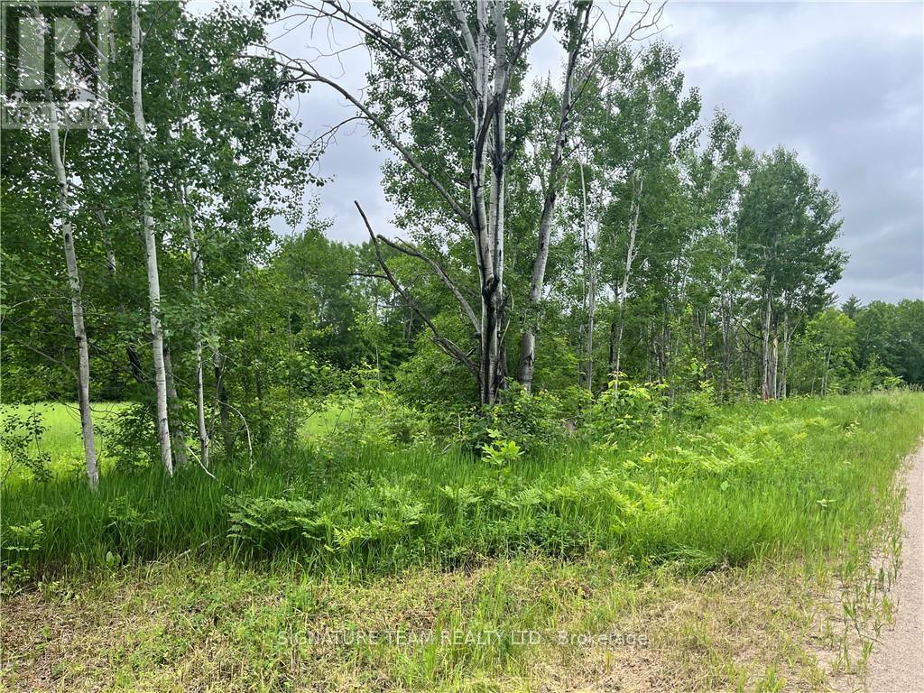Lot 1 Grants Settlement Road, Whitewater Region, Ontario  K0J 1K0 - Photo 2 - X12110568