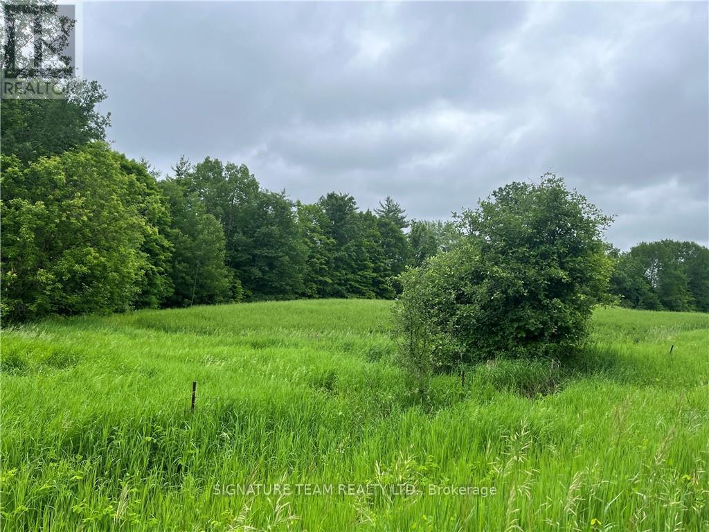 Lot 2 Grants Settelement Road, Whitewater Region, Ontario  K0J 1K0 - Photo 1 - X12110577
