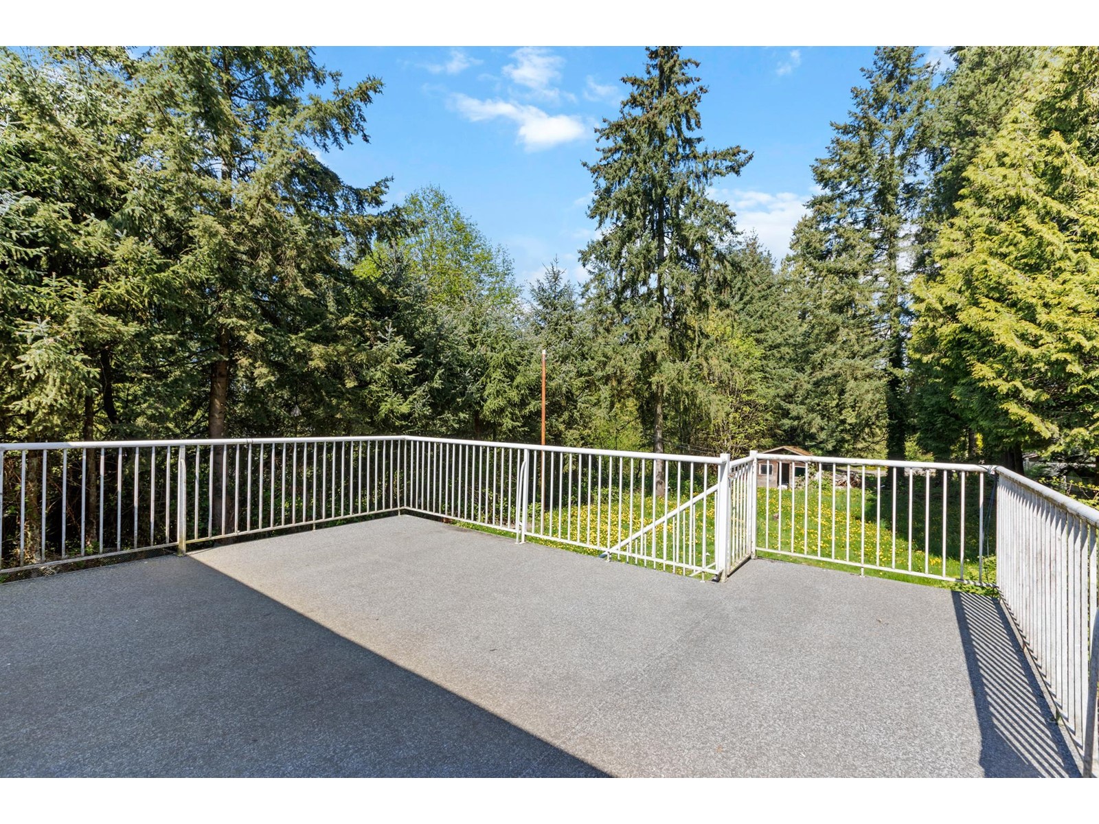 12347 103a Avenue, Surrey, British Columbia  V3V 3H1 - Photo 14 - R2994643