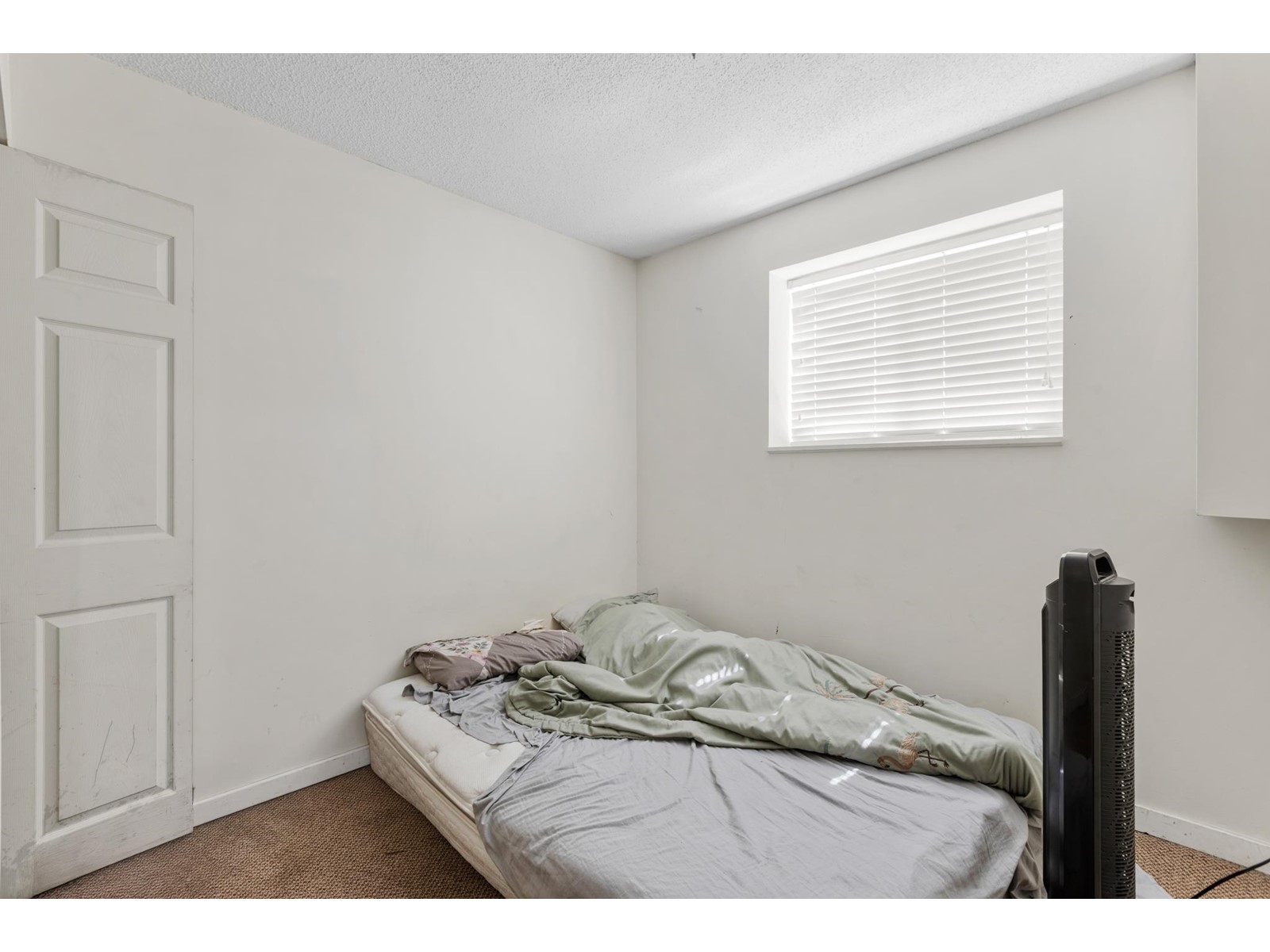 12347 103a Avenue, Surrey, British Columbia  V3V 3H1 - Photo 24 - R2994643