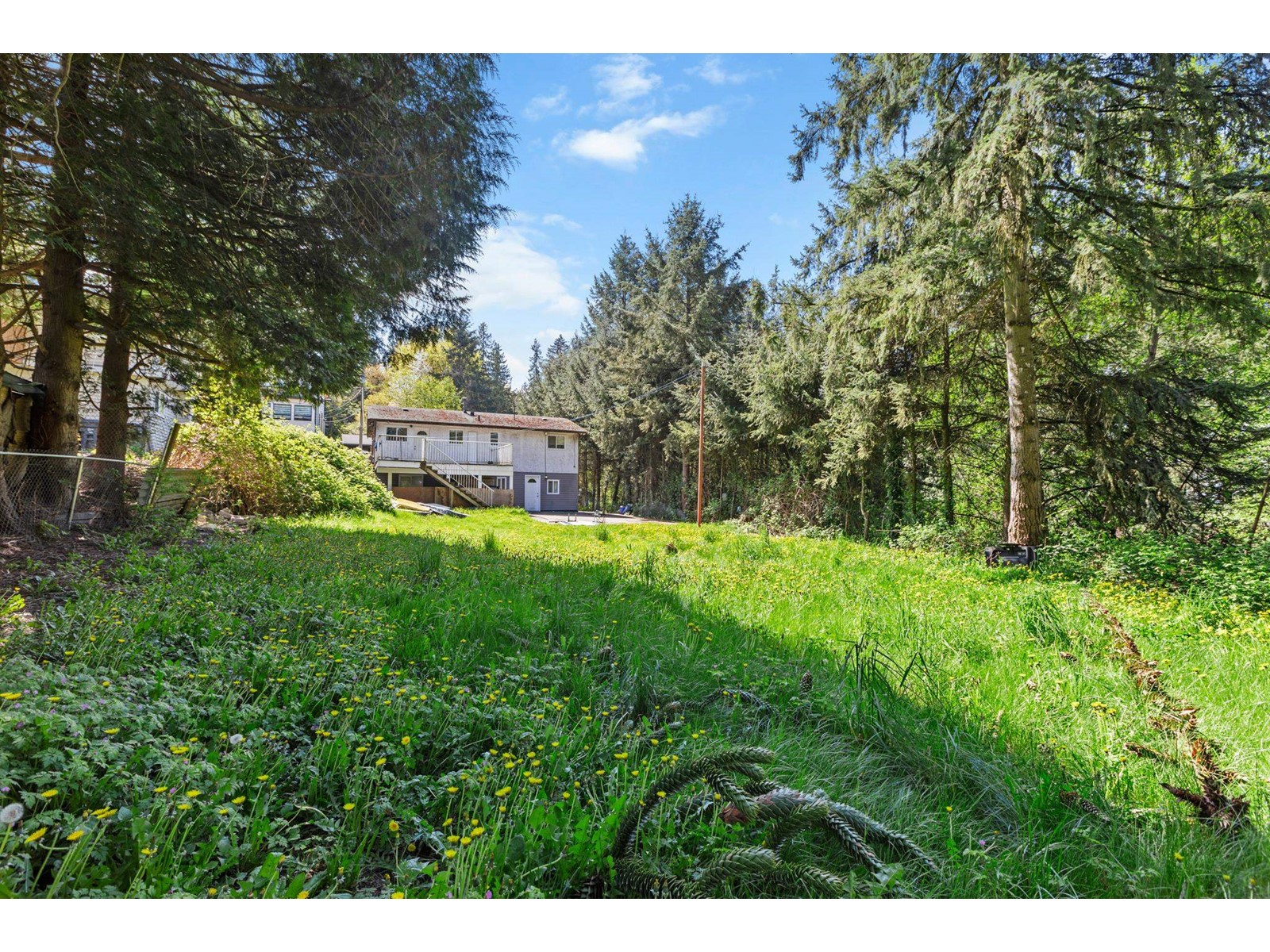 12347 103a Avenue, Surrey, British Columbia  V3V 3H1 - Photo 29 - R2994643