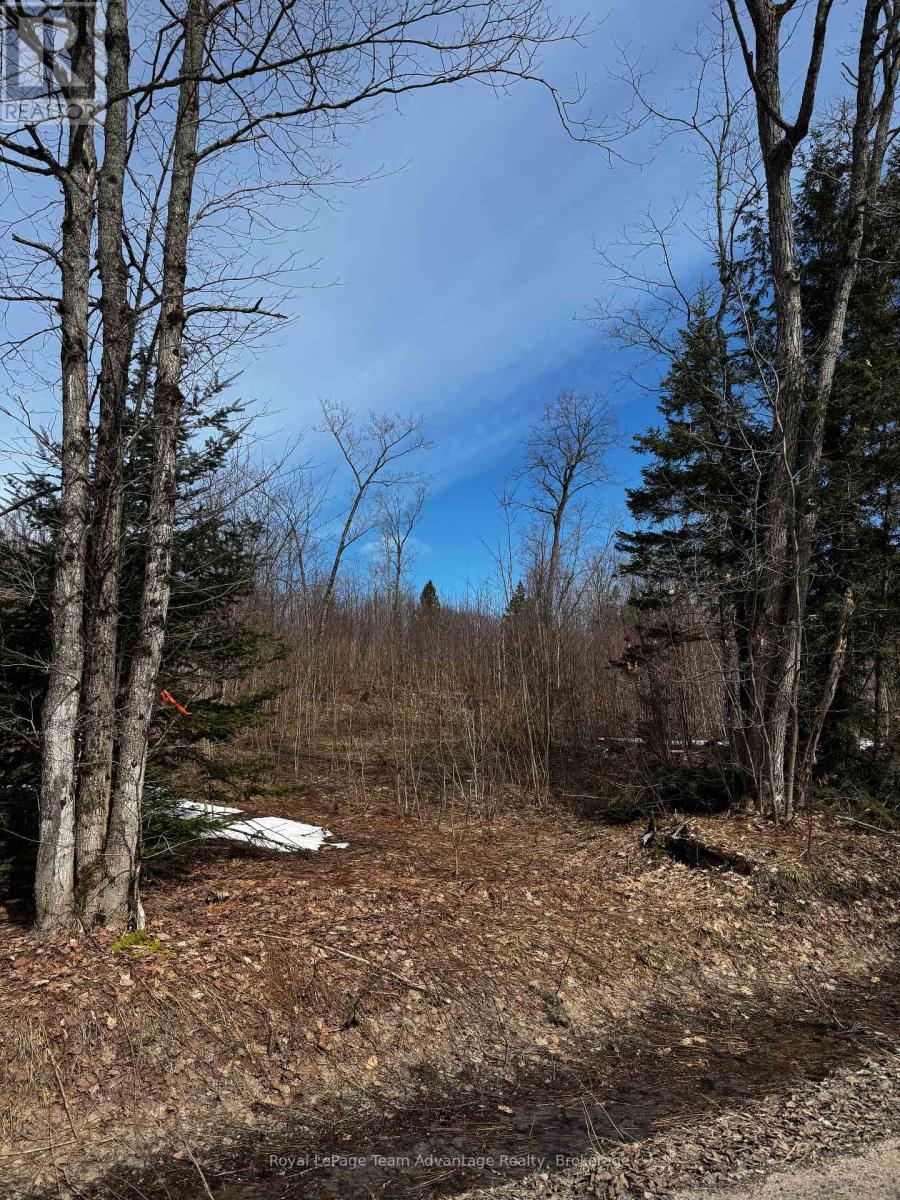 Lot 1 Lorimer Lake Road, Whitestone, Ontario  P0A 1G0 - Photo 19 - X12110611