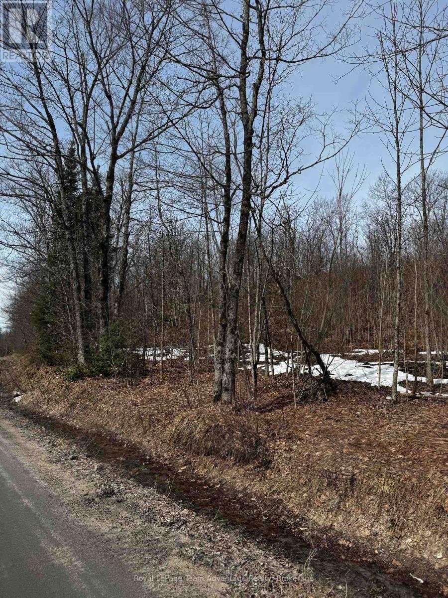 Lot 1 Lorimer Lake Road, Whitestone, Ontario  P0A 1G0 - Photo 20 - X12110611