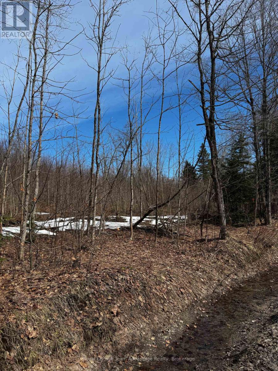 Lot 1 Lorimer Lake Road, Whitestone, Ontario  P0A 1G0 - Photo 25 - X12110611