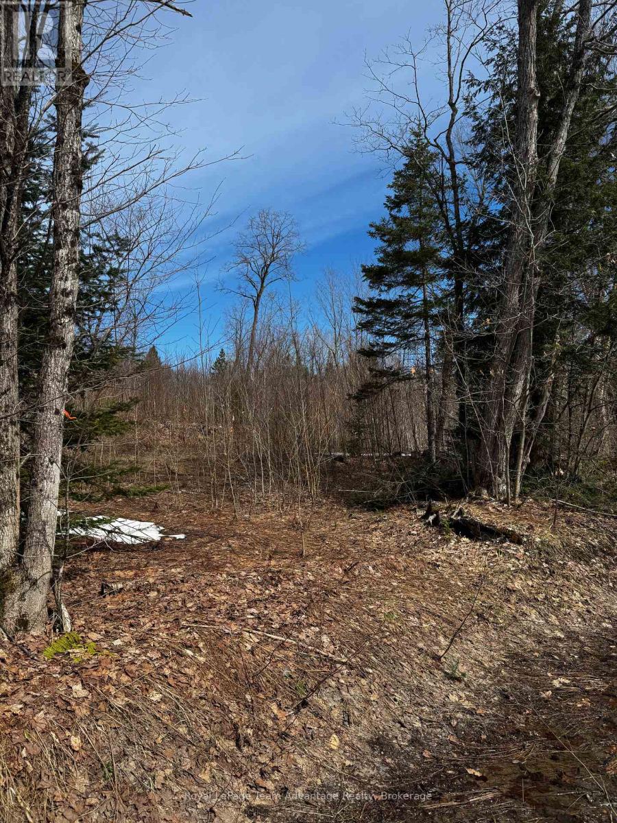 Lot 1 Lorimer Lake Road, Whitestone, Ontario  P0A 1G0 - Photo 26 - X12110611