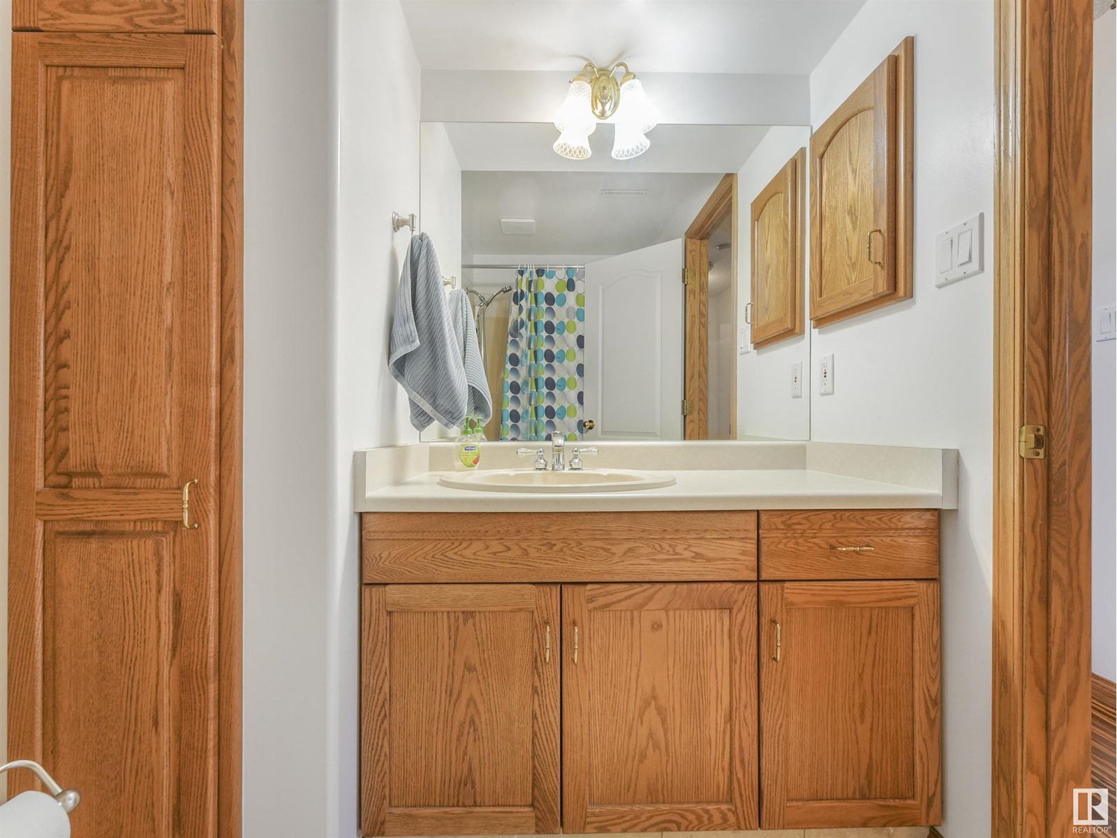 52420 Rge Road 213, Rural Strathcona County, Alberta  T8G 2E7 - Photo 48 - E4430738