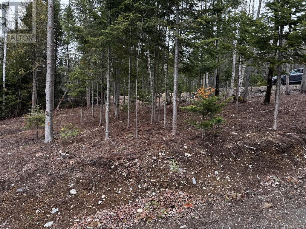 988 Route 215, Saint-François-De-Madawaska, New Brunswick  E7A 1G9 - Photo 2 - NB117287