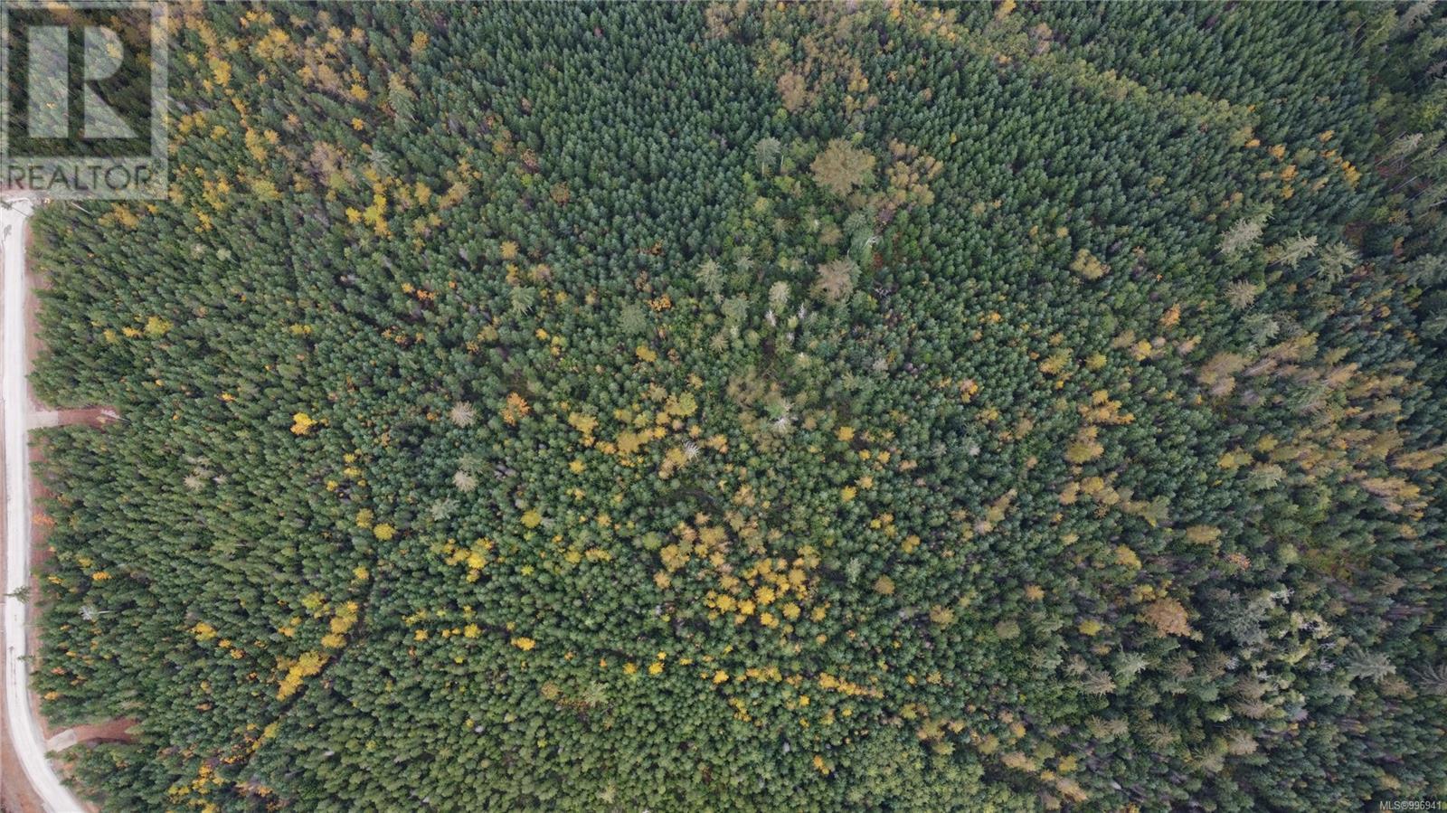 Lot 106 Pratt Rd, Hilliers, British Columbia  V0R 0B9 - Photo 2 - 996941