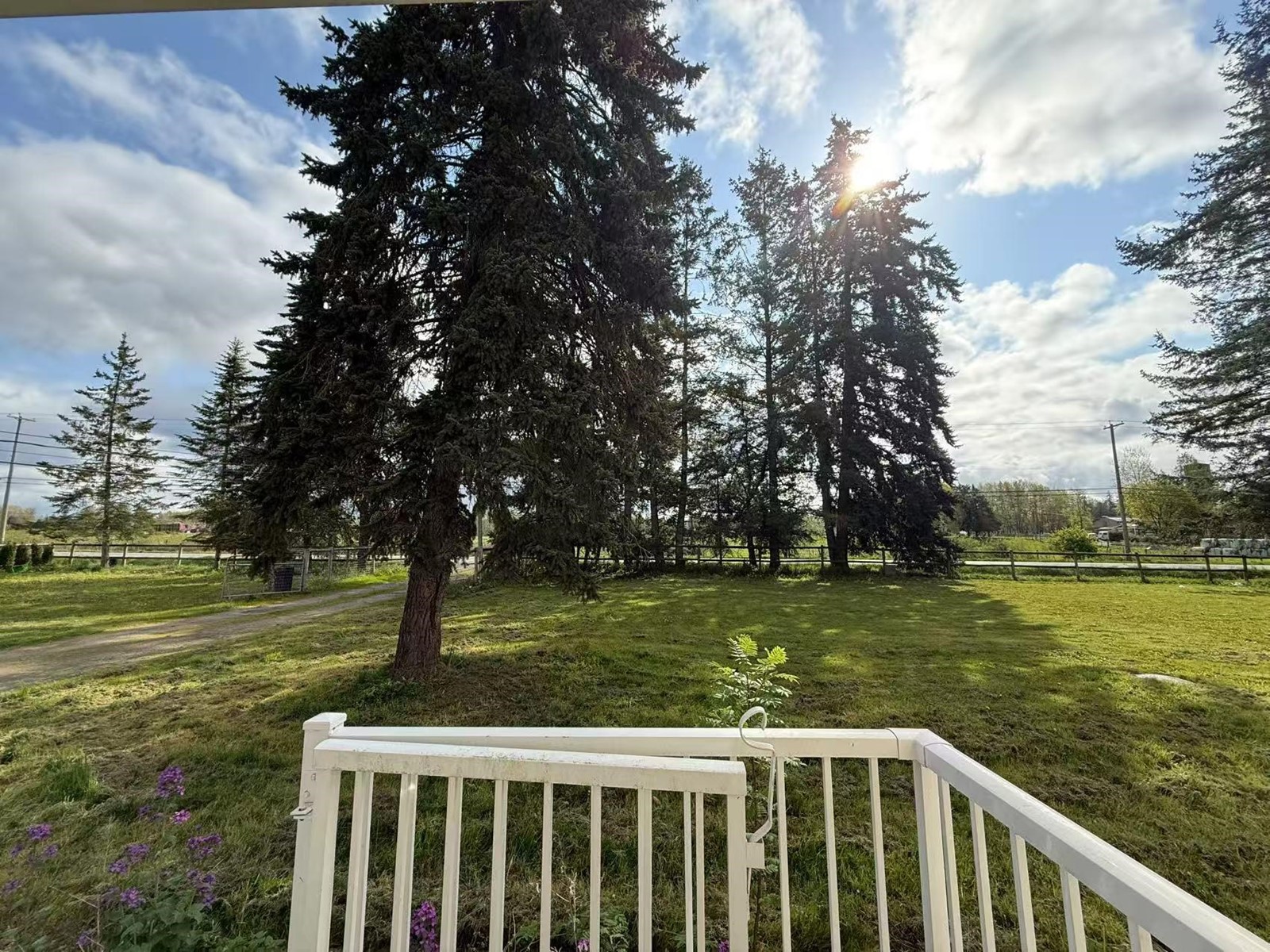 Entire House 2247 208 Street, Langley, British Columbia  V2Z 2A6 - Photo 27 - R2995797