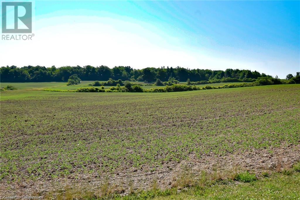 290 Richert Road, Haldimand County, Ontario  N0A 1E0 - Photo 46 - 40722513