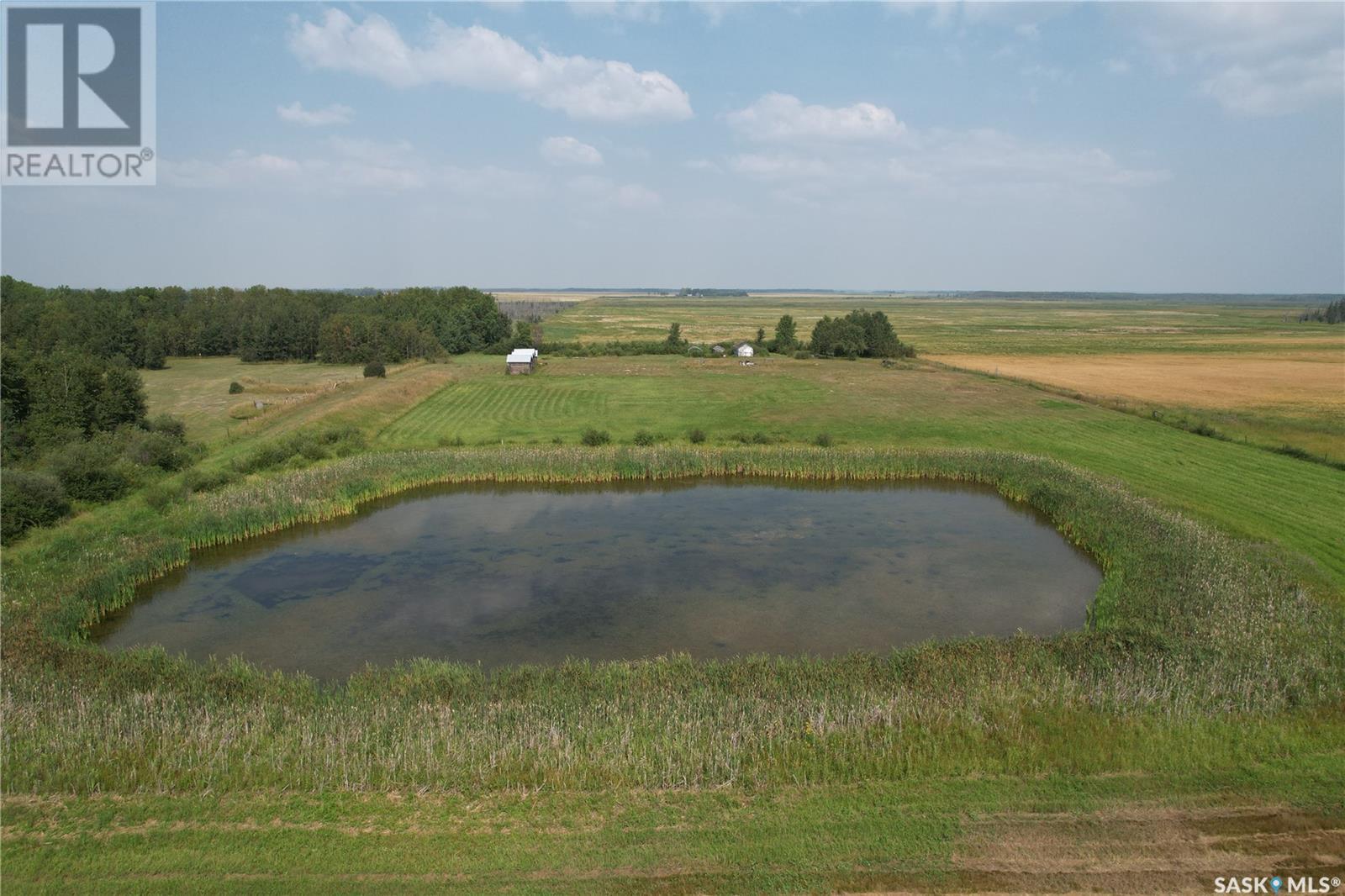 Strong Pine Road Acreage Land, garden river rm no. 490, Saskatchewan