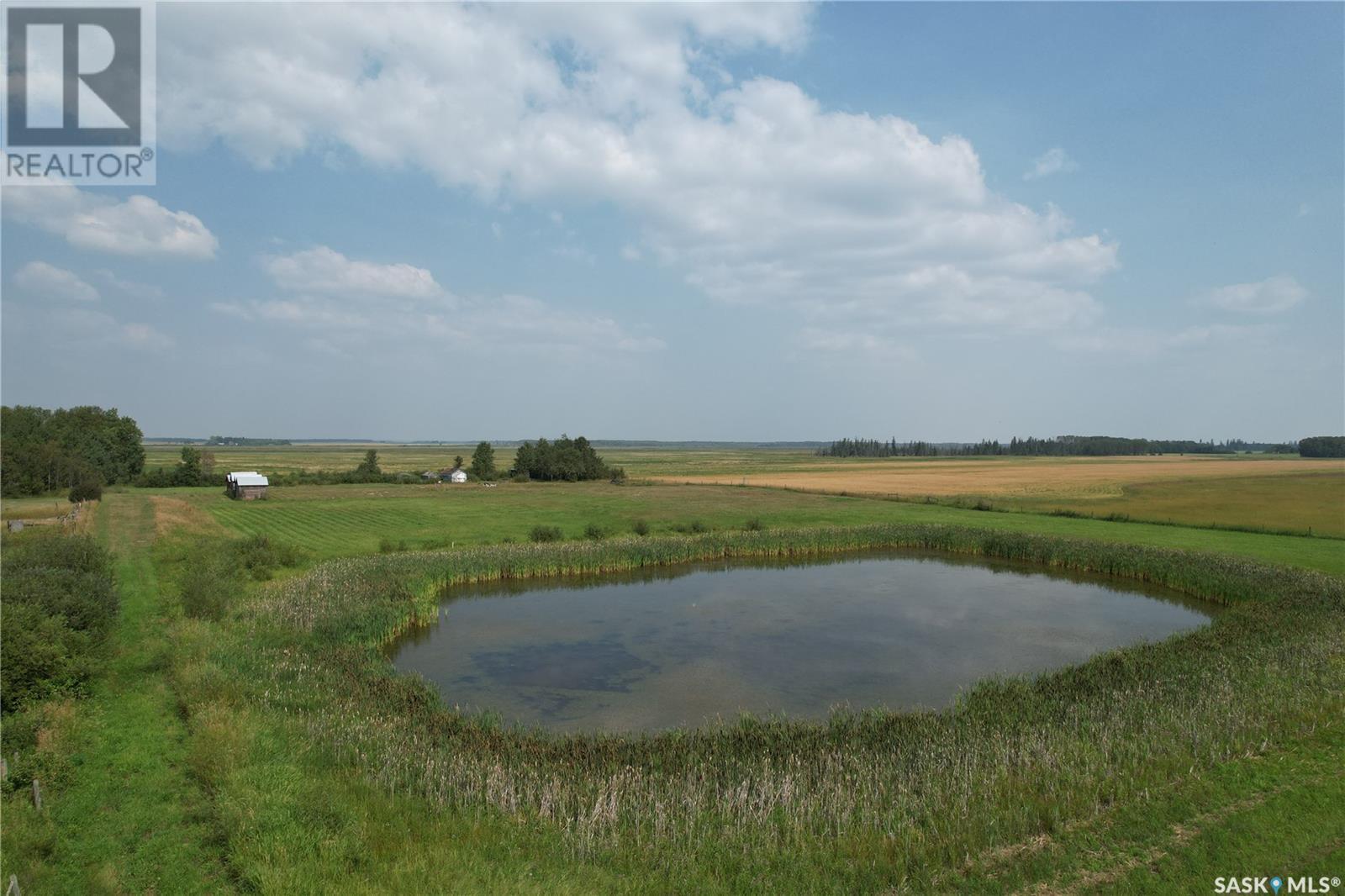 Strong Pine Road Acreage Land, Garden River Rm No. 490, Saskatchewan  S0J 1T0 - Photo 3 - SK004003