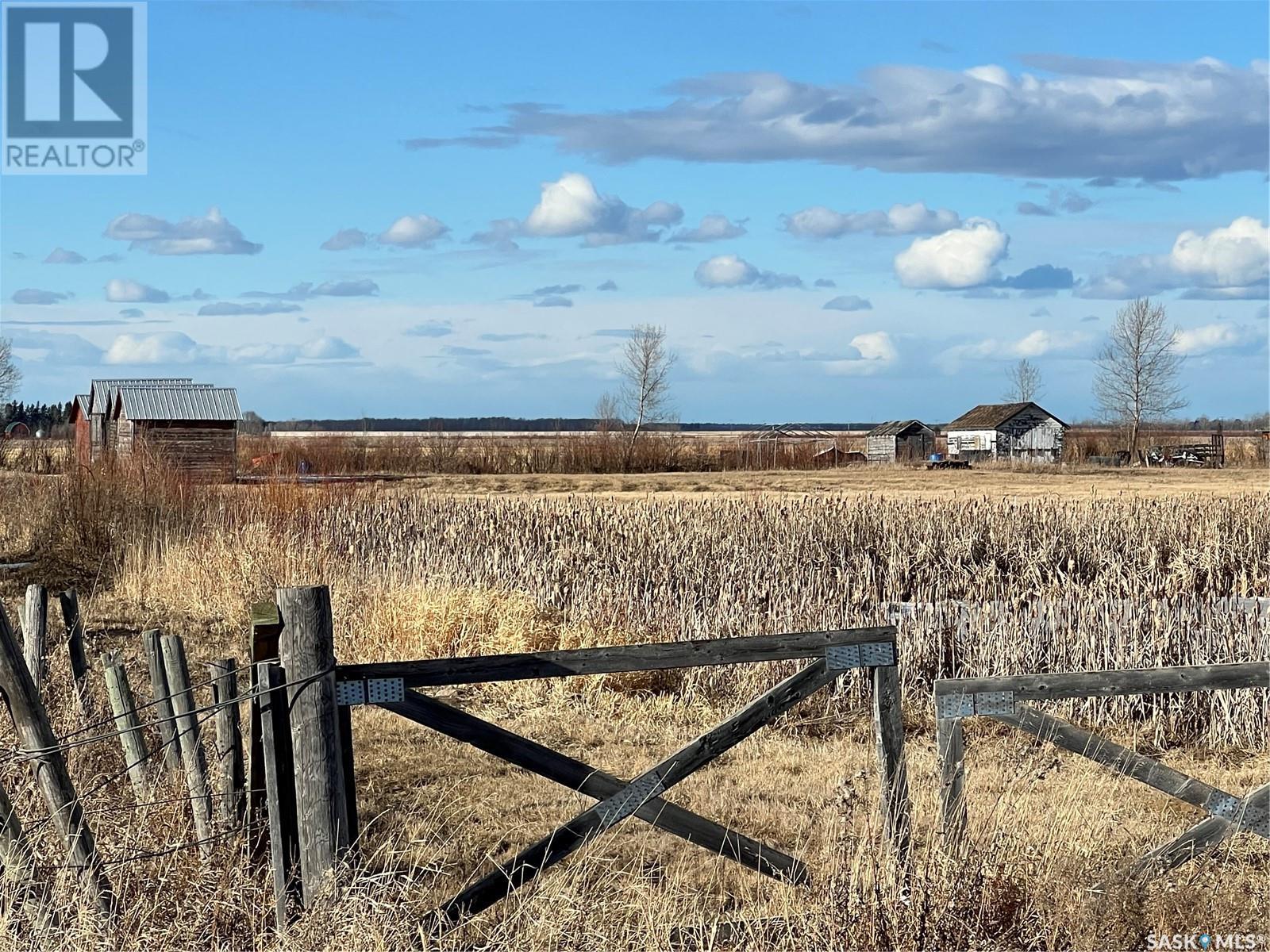 Strong Pine Road Acreage Land, Garden River Rm No. 490, Saskatchewan  S0J 1T0 - Photo 6 - SK004003