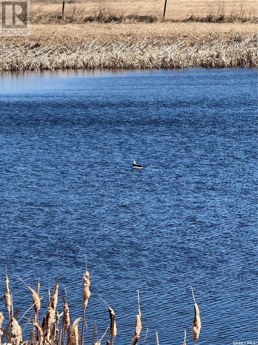 Strong Pine Road Acreage Land, Garden River Rm No. 490, Saskatchewan  S0J 1T0 - Photo 7 - SK004003